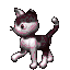 Katten Plaatjes 