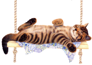 Katten Plaatjes 