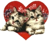 Katten Plaatjes 