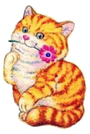 Katten Plaatjes 