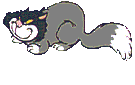 Katten Plaatjes 