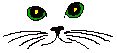Katten Plaatjes 