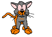 Katten Plaatjes 