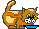 Katten Plaatjes 