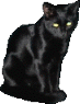 Katten Plaatjes 