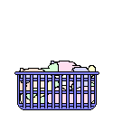 Katten Plaatjes 