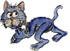 Katten Plaatjes 