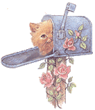 Katten Plaatjes 