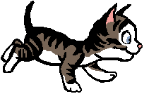 Katten Plaatjes 