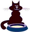 Katten Plaatjes 