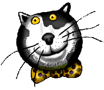 Katten Plaatjes 