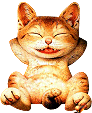 Katten Plaatjes 
