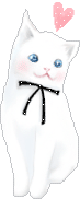 Katten Plaatjes 