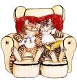 Katten Plaatjes 