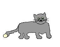 Katten Plaatjes 
