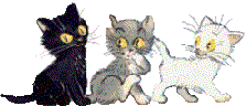 Katten Plaatjes 