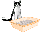 Katten Plaatjes 