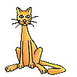 Katten Plaatjes 