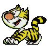 Katten Plaatjes 