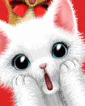 Katten Plaatjes 