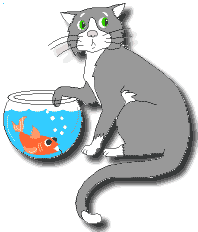 Katten Plaatjes 