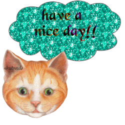 Katten Plaatjes 