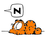 Katten Plaatjes 