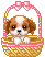 Plaatjes Kawaii 