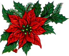 Plaatjes Kerst bloemen 