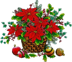 Plaatjes Kerst bloemen 