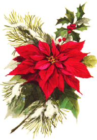 Plaatjes Kerst bloemen 