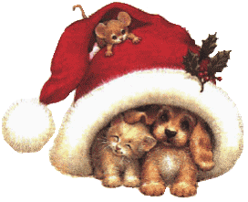 Plaatjes Kerst dieren Kerst, Kerstmuts, Hondjes, Hond En Kat