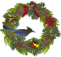 Plaatjes Kerst vogels 