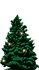 Plaatjes Kerstbomen 