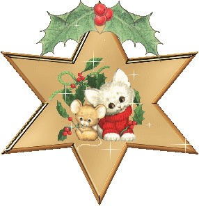 Plaatjes Kerstster 