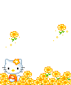 Plaatjes Kitty 
