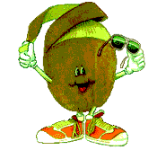 Kiwi Plaatjes 