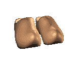 Plaatjes Klompen 