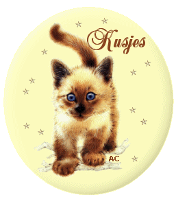 Plaatjes Knuffels Kusjes Kat