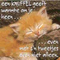 Plaatjes Knuffels 