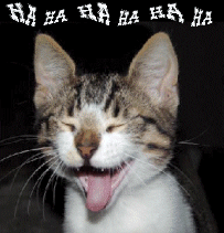 Lachen Plaatjes 