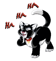 Lachen Plaatjes Lachende Kat, Ha Ha Ha