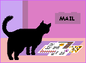 Plaatjes Mail Mail Kat