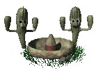 Mexico Plaatjes 2 Levende Cactussen