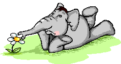 Olifanten Plaatjes 