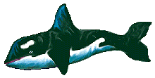 Orka Plaatjes 