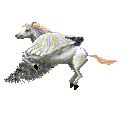 Overige Plaatjes Pegasus Het Vliegende Paard