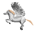Paarden Plaatjes 