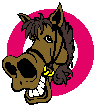 Paarden Plaatjes 