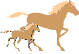 Paarden Plaatjes 